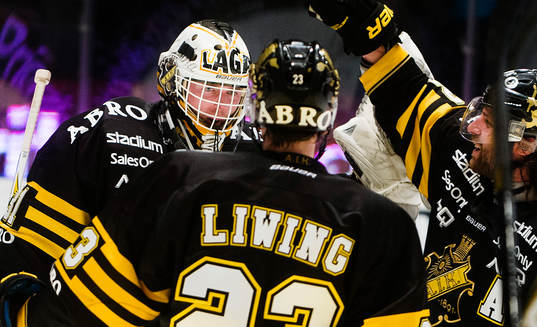 s spelare jublar med målvakt Daniel Larsson