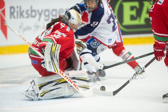Modos Valentina Lizana Wallner räddar