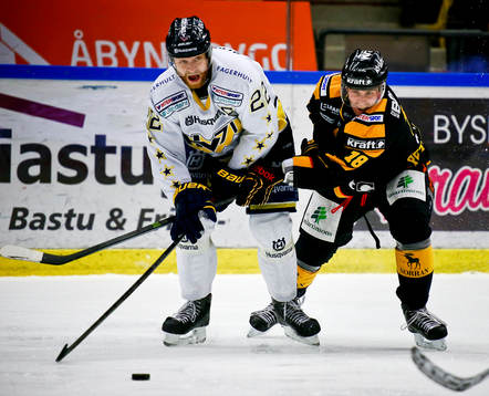 Hv71s lagkapten David Petrasek