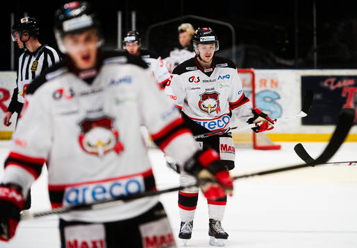 Malmö Redhawks spelare deppar