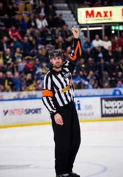 Domare Mikael Sjöqvist