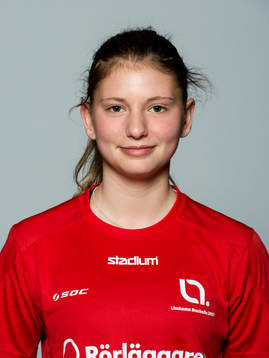 LB07s Saga Ollerstam
