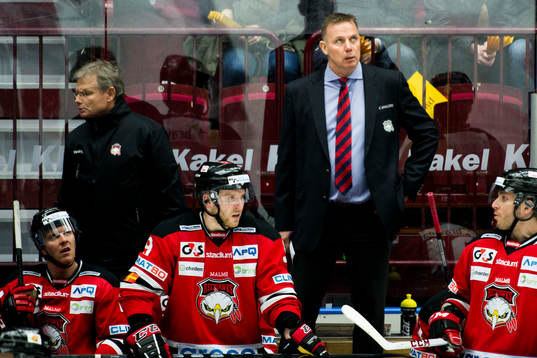 Malmö Redhawks tränare Mats Lusth