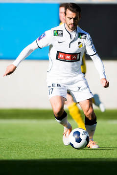 Häckens Björn Anklev