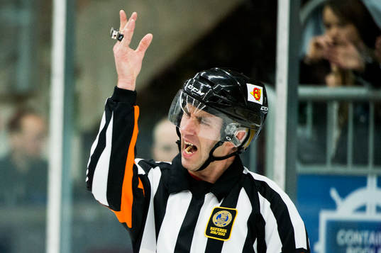 Dommare Linus Öhlund