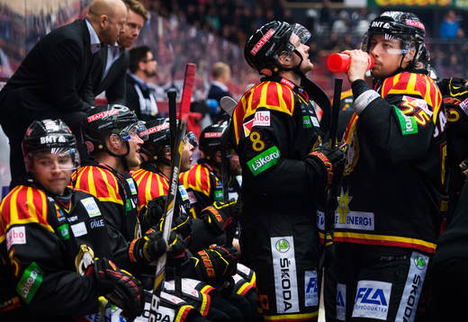 Spelare i Brynäs bås