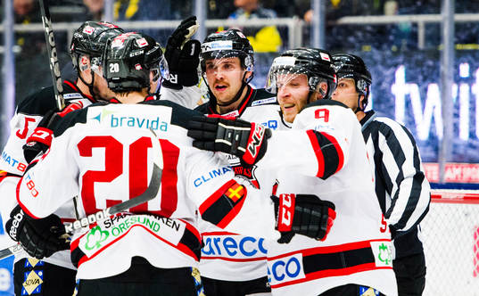Malmö Redhawks spelare jublar