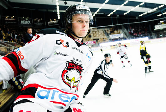 Malmö Redhawks Calle Andersson