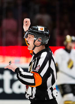 Domare Mikael Nord