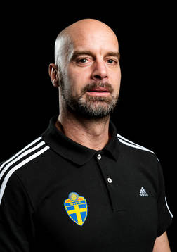 Domare Stefan Johannesson