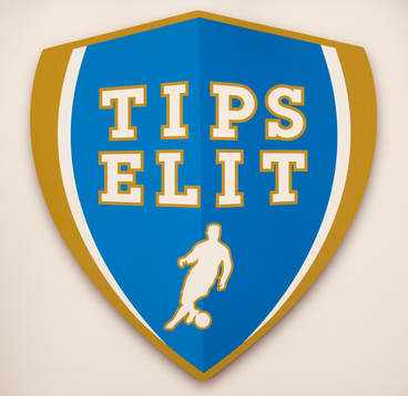 Tipselit