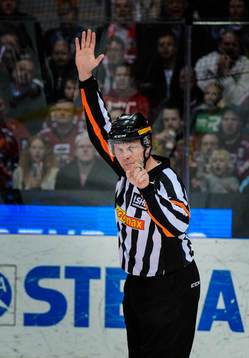 Domare Ulf Rönnmark