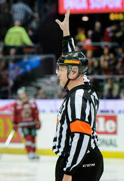 Domare Ulf Rönnmark