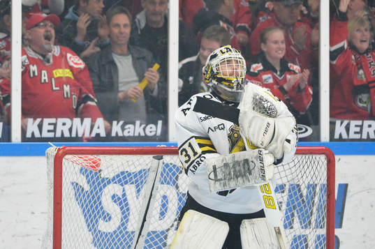 s målvakt Daniel Larsson deppar