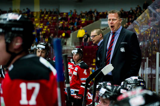 Malmö Redhawks tränare Mats Lusth