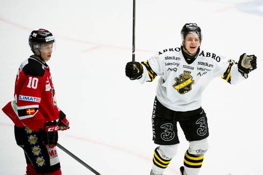 s Mattias Janmark Nylén jublar och Malmö Redhawks Robin