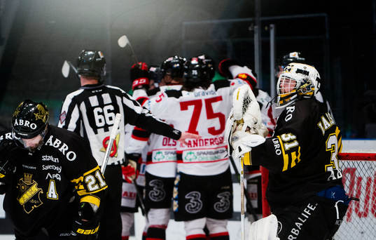 s målvakt Daniel Larsson  deppar