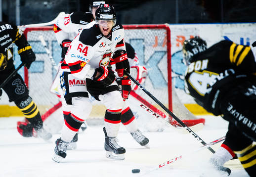 Malmö Redhawks Brian Ihnacak