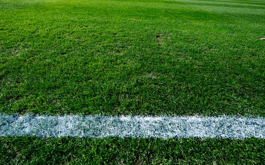 Gräset och en sidlinje på Swedbank Stadion innan