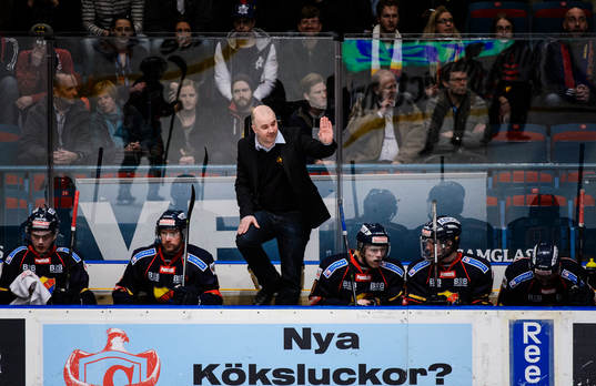 Djurgårdens assisterande tränare Stefan Nyman