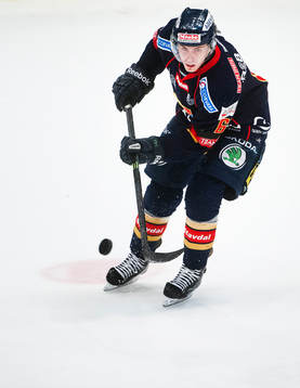 Djurgårdens  Markus Ljungh