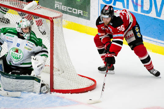 Malmö Redhawks David Liffiton utmanar Rögles målvakt