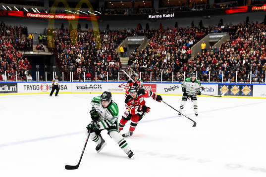 Rögles Erik Thorell och Malmö Redhawks Brian Ihnacak