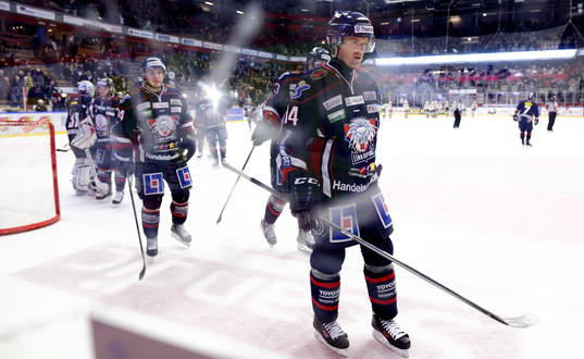 Linköpings Mark Matheson