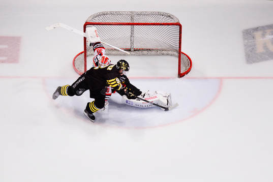 s Michael Nylander