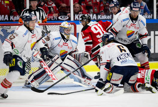 Djurgårdens målvakt Adam Reideborn