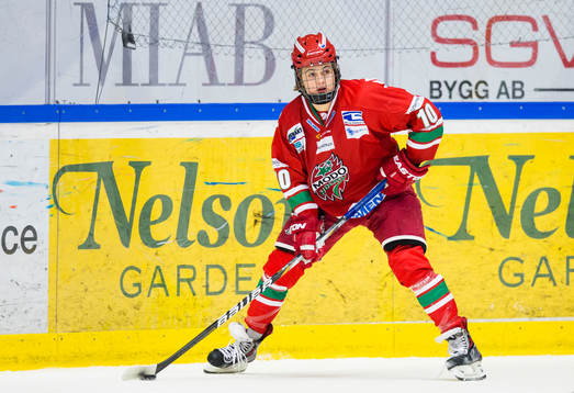 Modos William Nylander Altelius