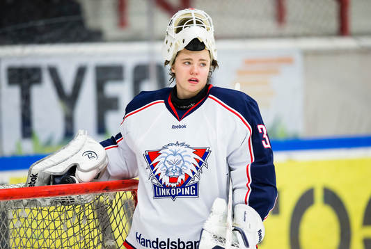 Linköpings målvakt Erik Källgren