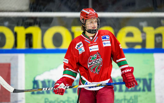 Modos William Nylander Altelius