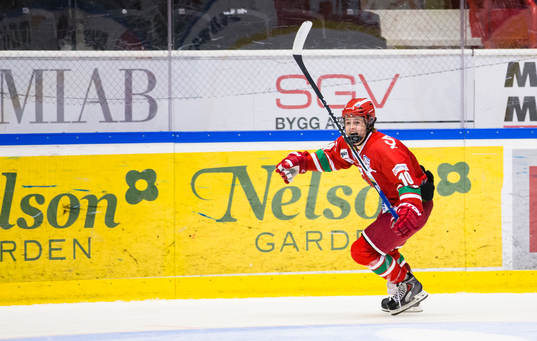 Modos William Nylander Altelius jublar
