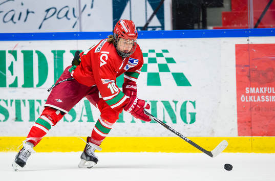 Modos William Nylander Altelius