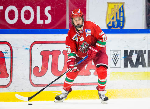Modos William Nylander Altelius