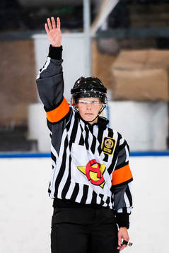 Domare Katarina Timglas