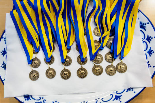 Medaljerna i ishockeymatchen finalen i Stålbucklan mellan