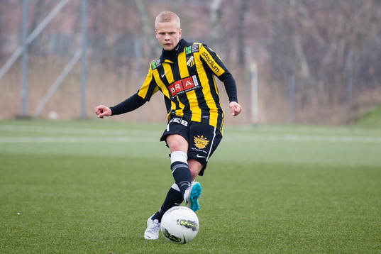 Häckens Albin Falkenby