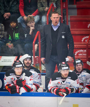Malmö Redhawks tränare Mats Lusth är arg