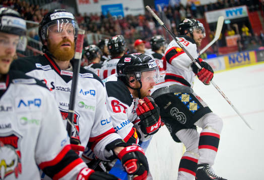 Malmö Redhawks Tobias Ericsson deppar