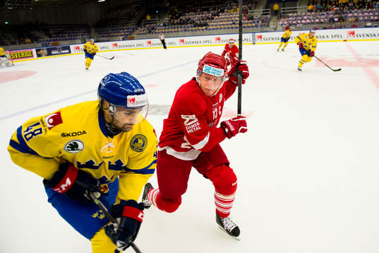 Sveriges Daniel Rahimi