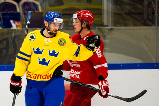 Sveriges Niklas Olausson jublar