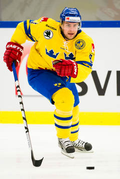 Sveriges Nichlas Torp