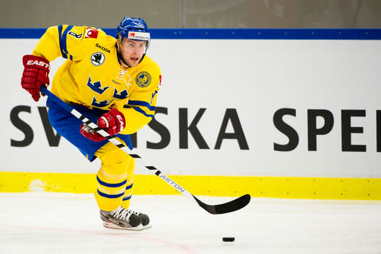 Sveriges Nichlas Torp