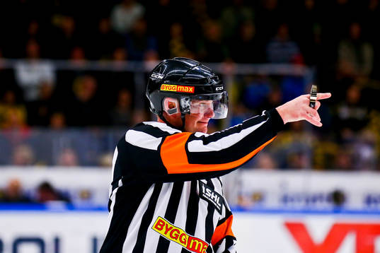 Domaren Marcus Vinnerborg