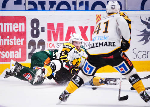 Skellefteås Bud Holloway fälls