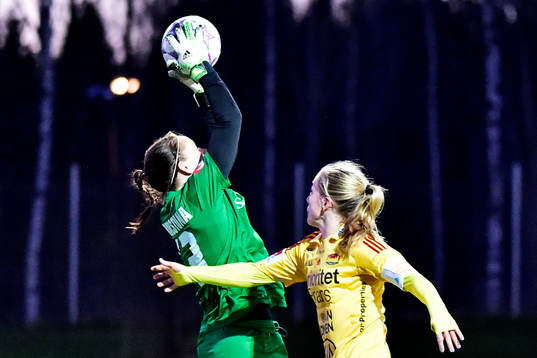 Eskilstunas målvakt Emelie Almesjö och Tyresös Whitney