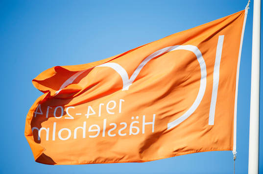 Hässleholms 100-årsjubileums-flagga i matchen i damernas
