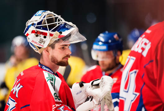 Tjeckiens målvakt Alexander Salak